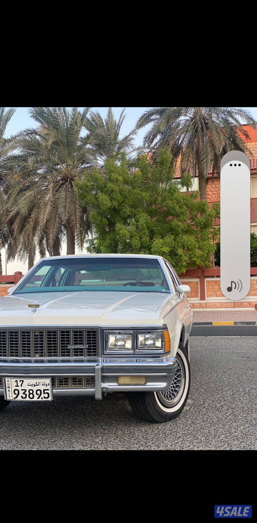 شفر كابرس الغانم 19793