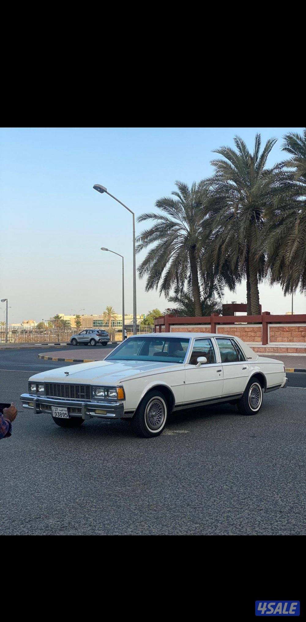 شفر كابرس الغانم 19794