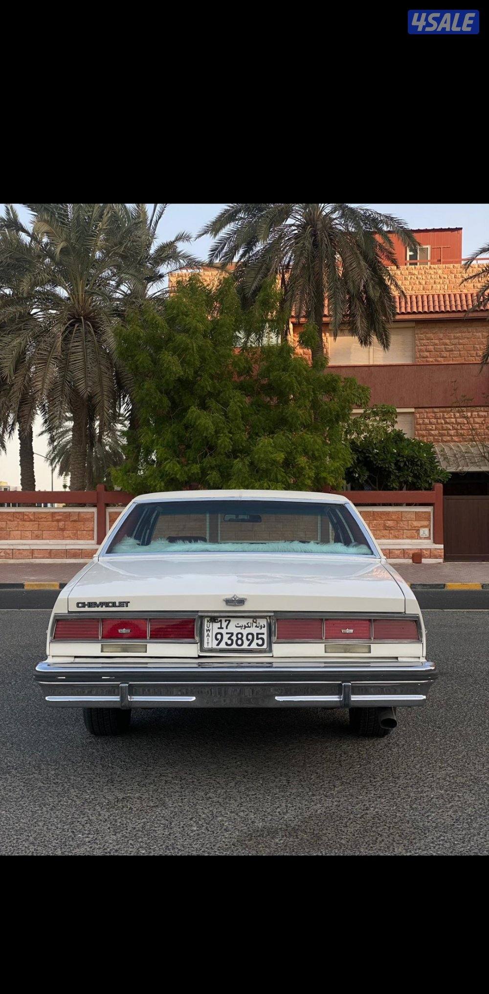 شفر كابرس الغانم 19795