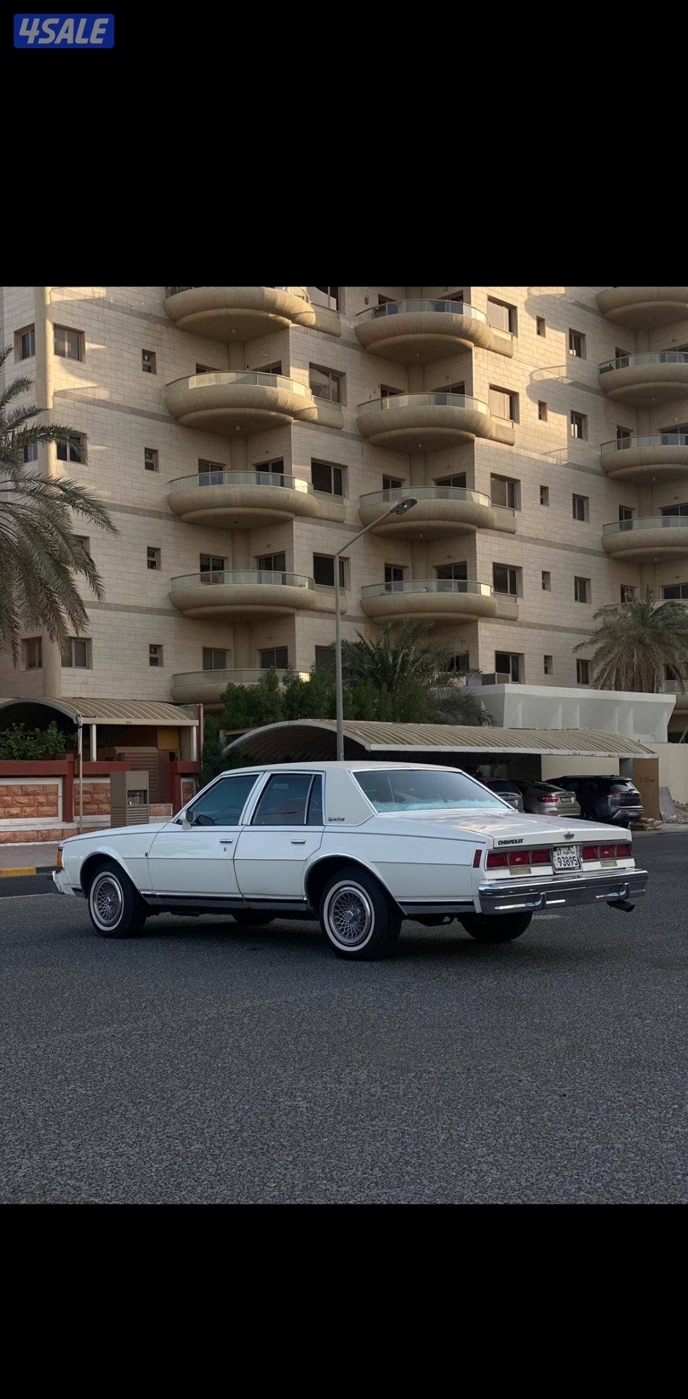 شفر كابرس الغانم 19796