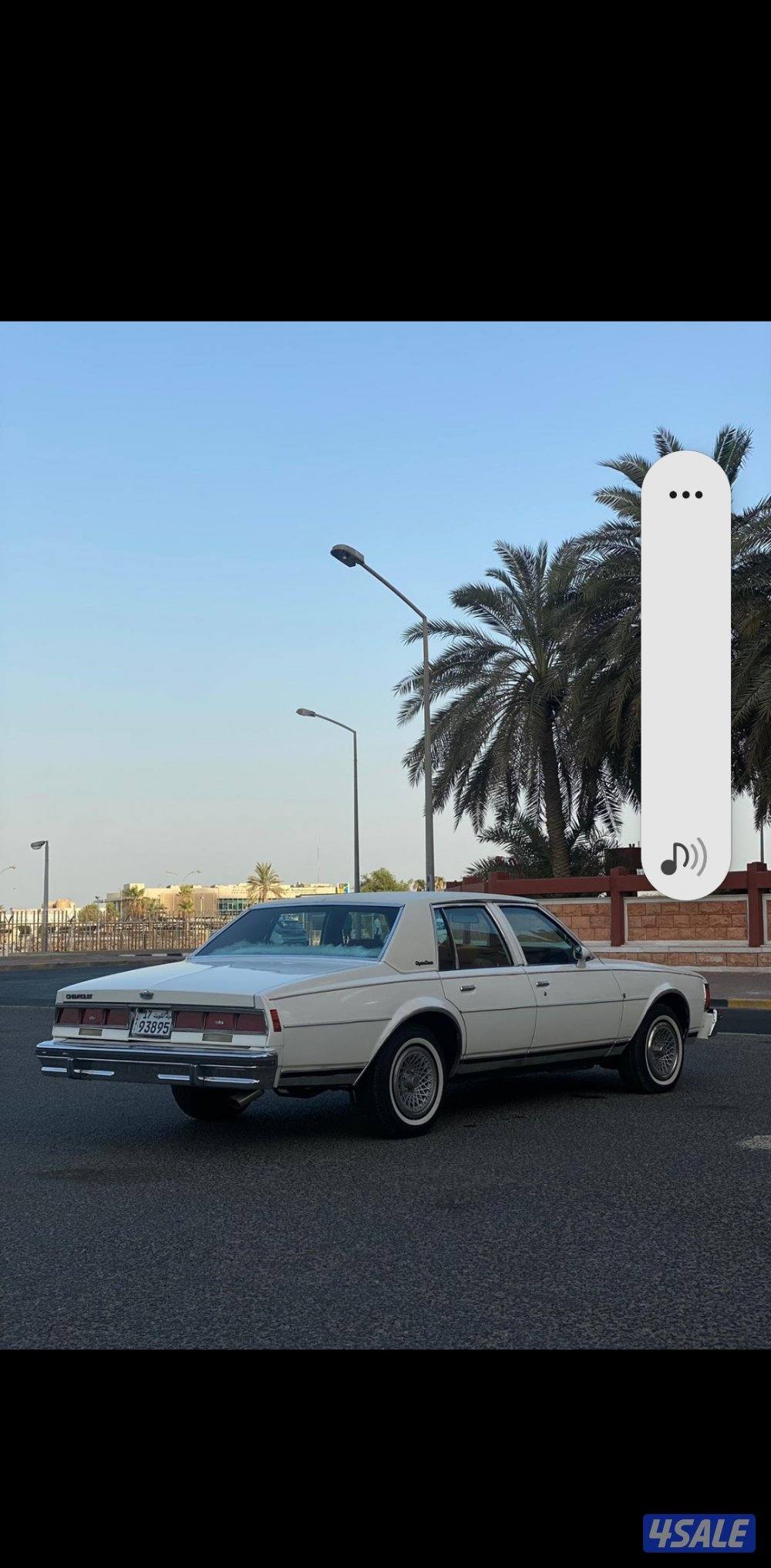 شفر كابرس الغانم 19797