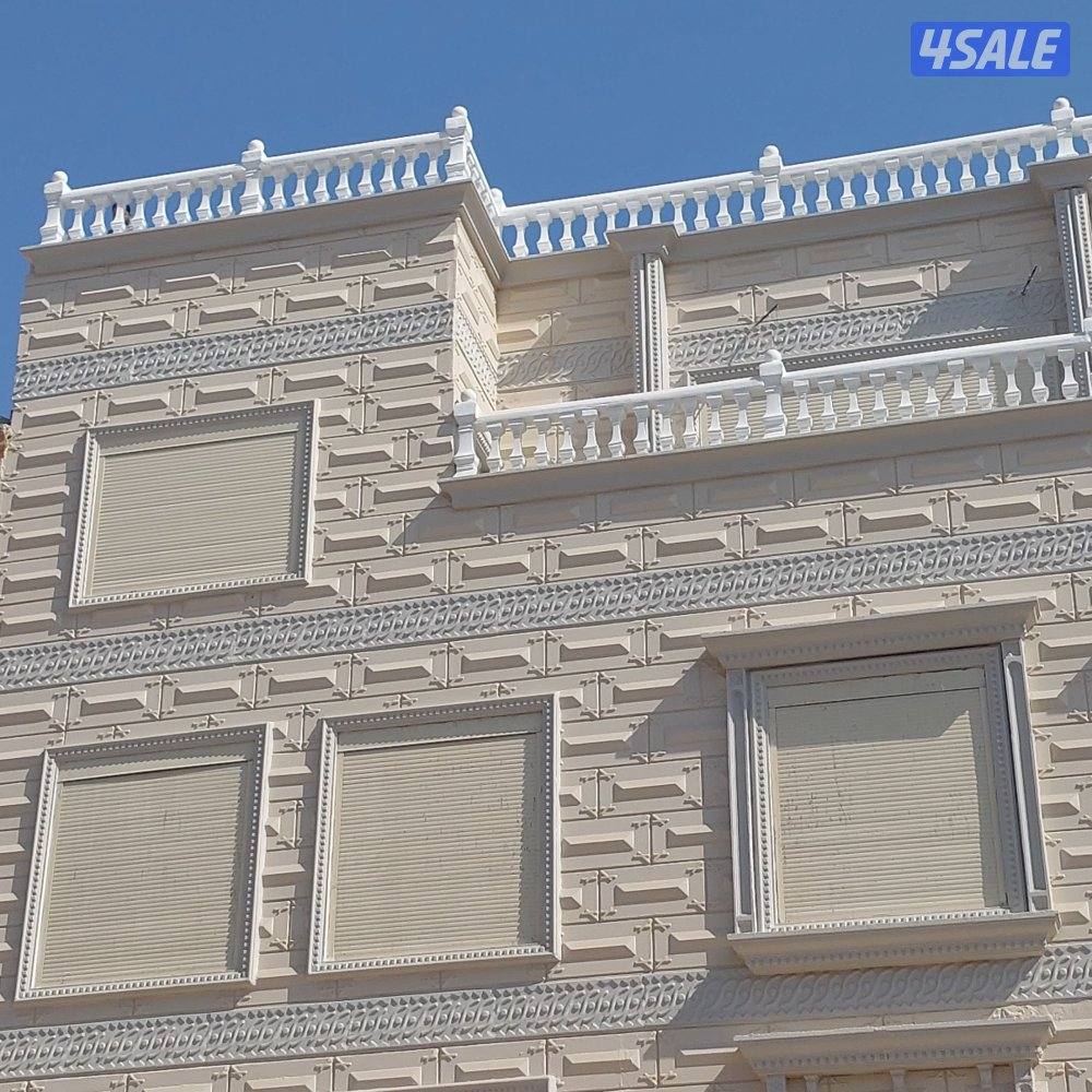 محمود باكستانى1