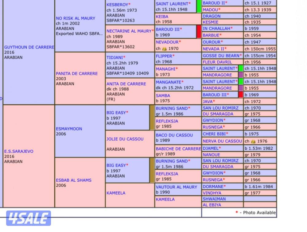 🔥فلاوة فرنسيه بيعه سريعه🔥2