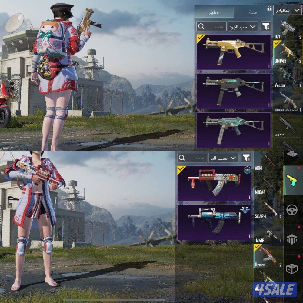 حسابات ببجي منوعه ~ سكنات وبسعر رخيص🎽🦁3