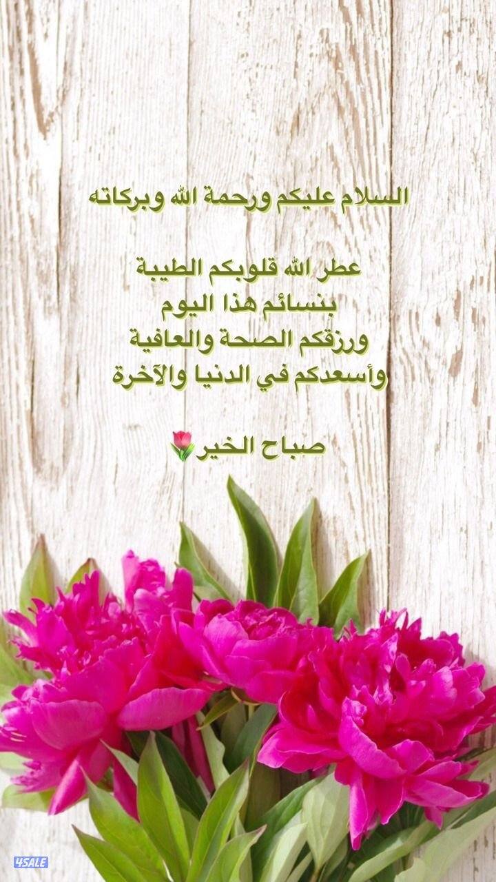 للايجار شقة في السلام ق ٥ ومشرف0