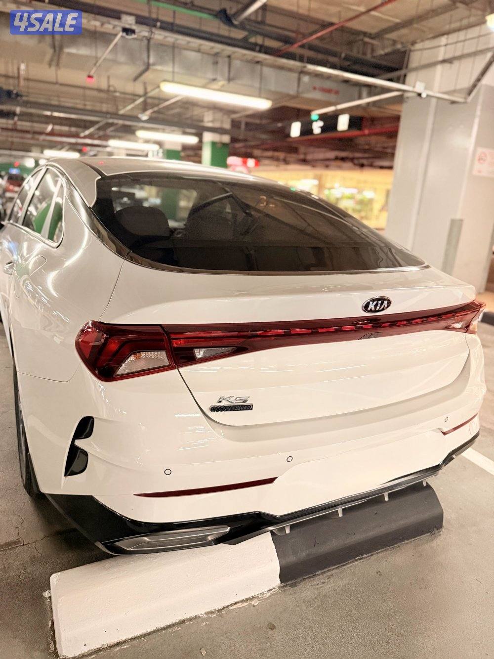 كيا k5 ابيض 20217