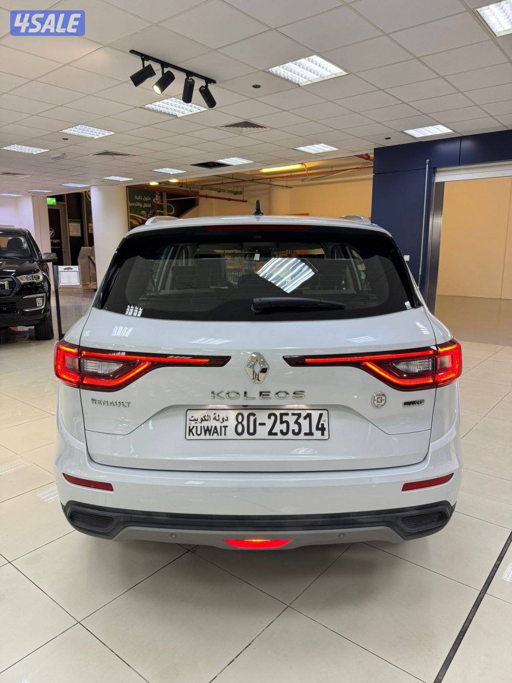 رينو كوليوس1