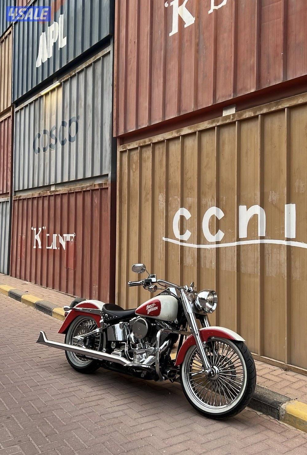 هارلي ديفدسون1