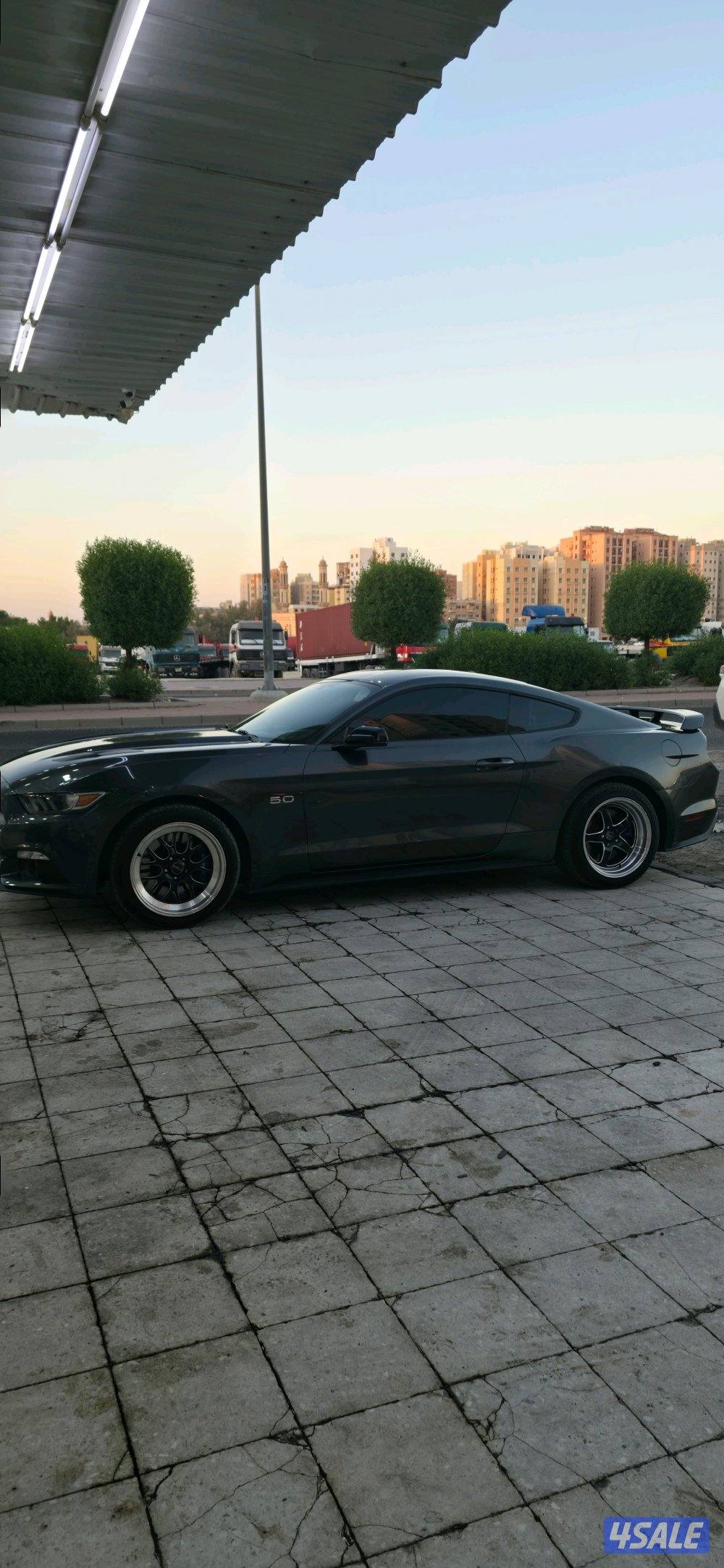 رنقات ولدات حجم ١٨ مع تواير1