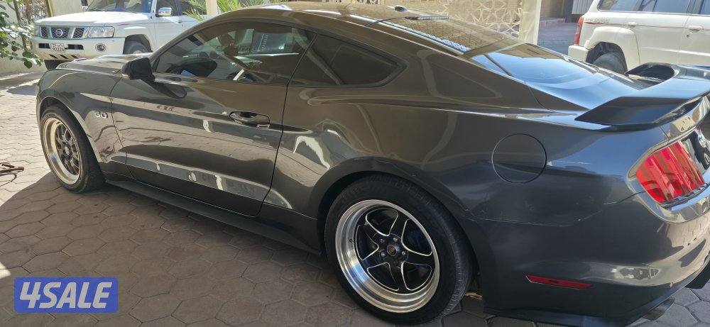 رنقات ولدات حجم ١٨ مع تواير2