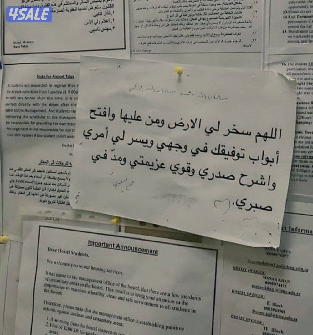 شاب بدون (يجيد اللغه الانجليزيه) ويطلب عمل بأسرع وقت0