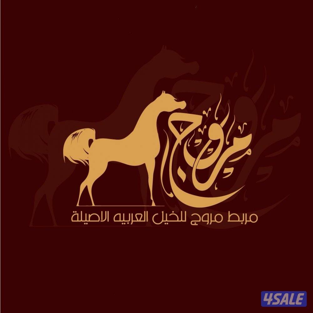 مربط مروج للخيل .2