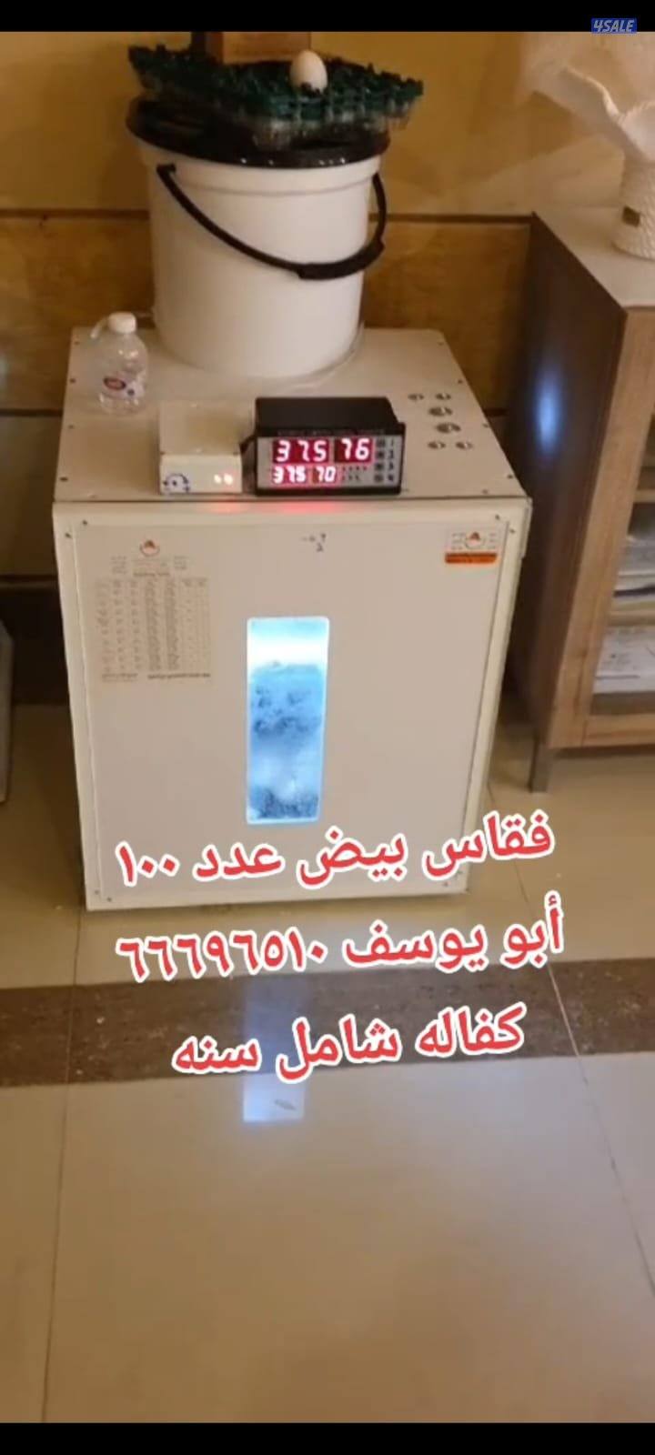 أبو يوسف باكستانى       بيع فقاسات مع كفالة شامل سنه في مجود ارب0