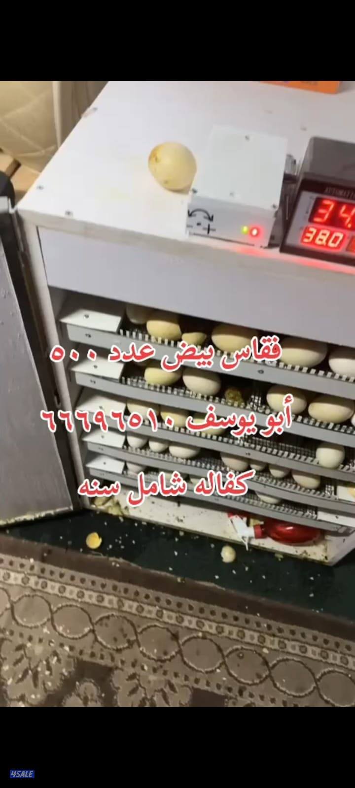 أبو يوسف باكستانى       بيع فقاسات مع كفالة شامل سنه في مجود ارب2