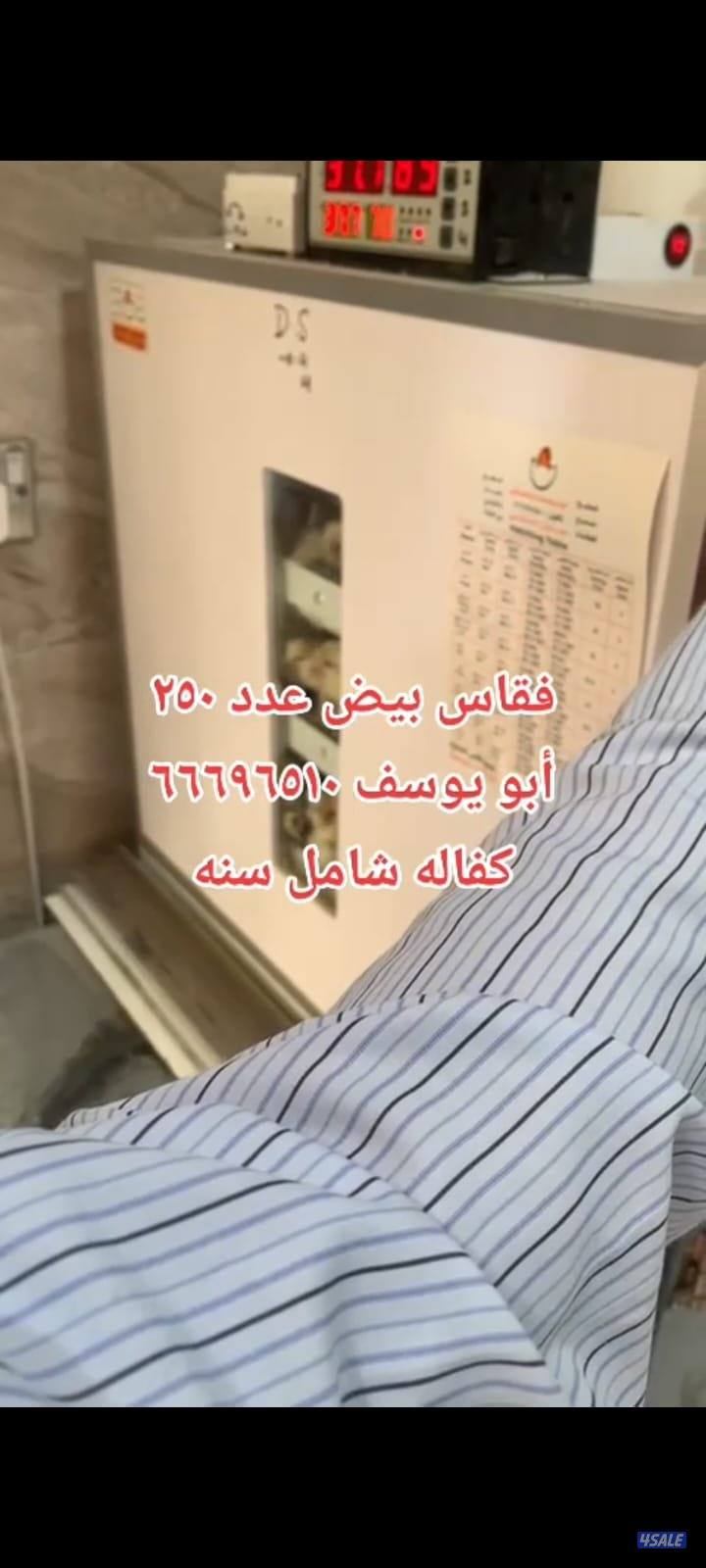 أبو يوسف باكستانى       بيع فقاسات مع كفالة شامل سنه في مجود ارب4