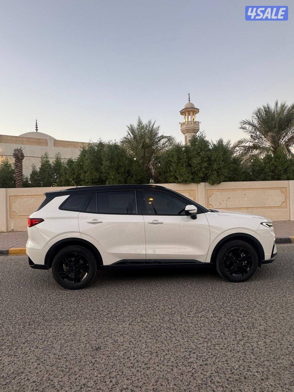 فورد تيرتوري موديل 20233