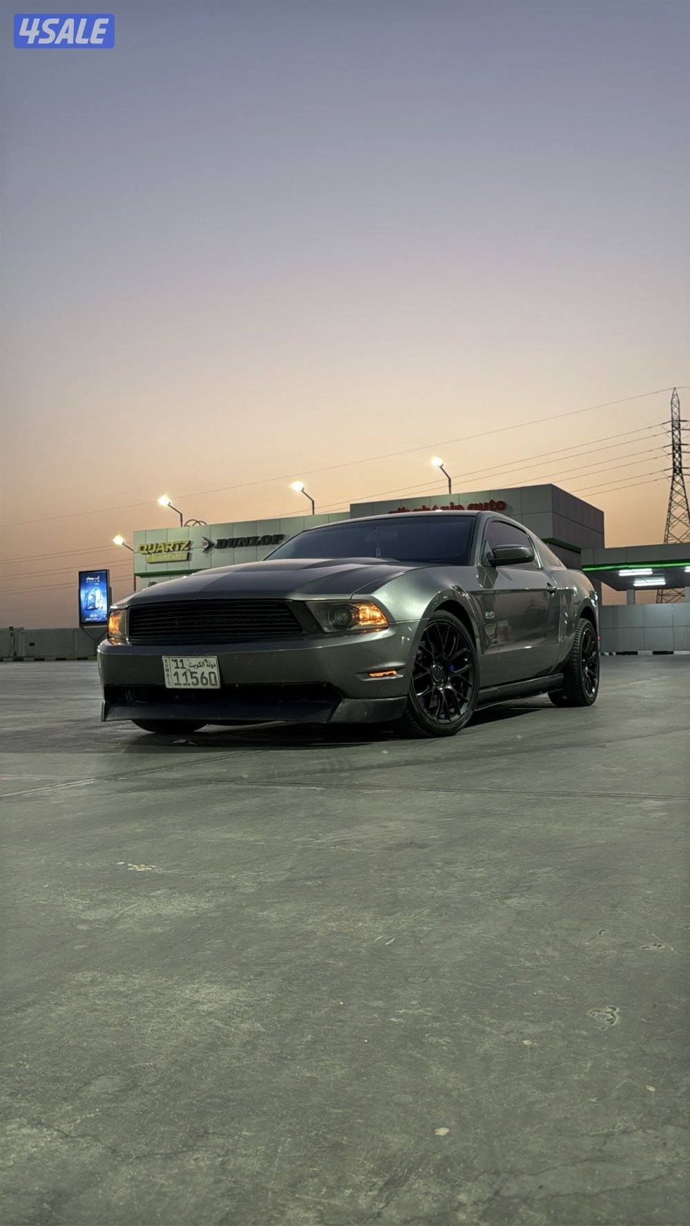 موستنق بحاله نادره جدا3