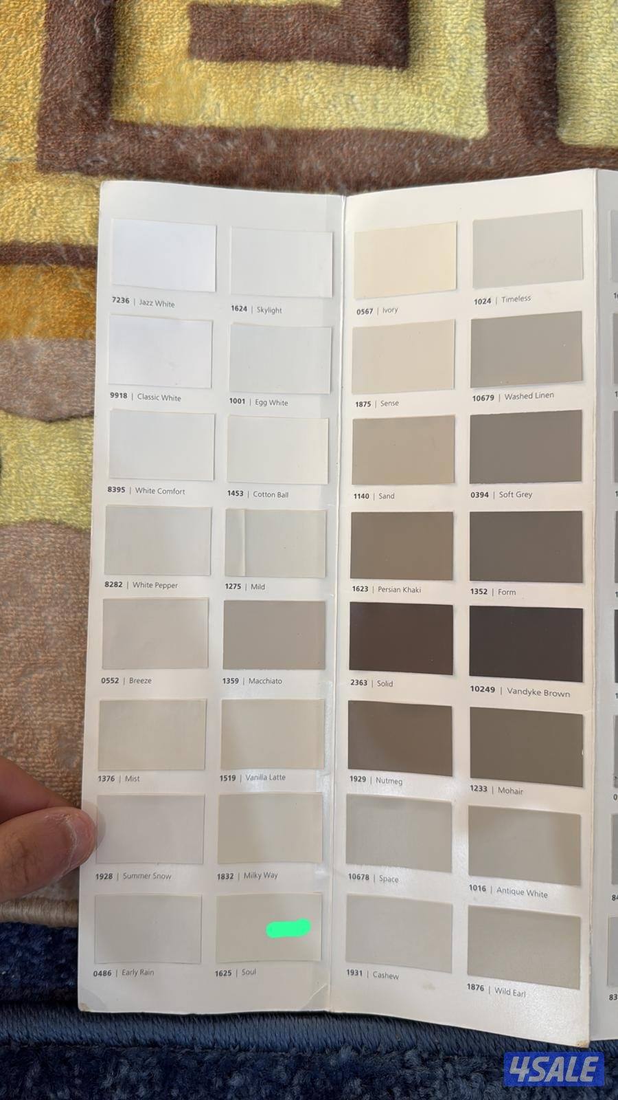 اصباغ ابو حسين3