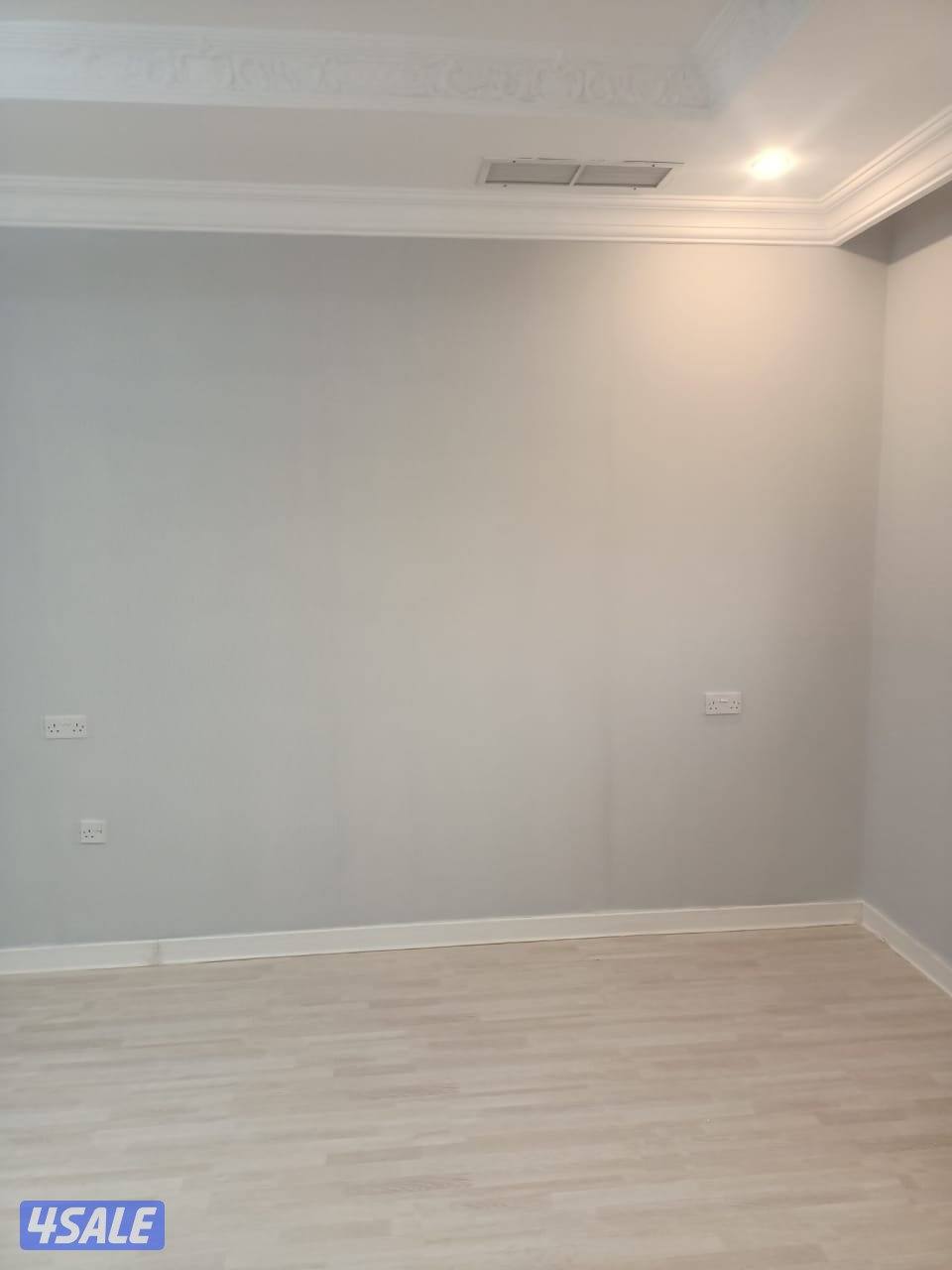 اصباغ ابو حسين8