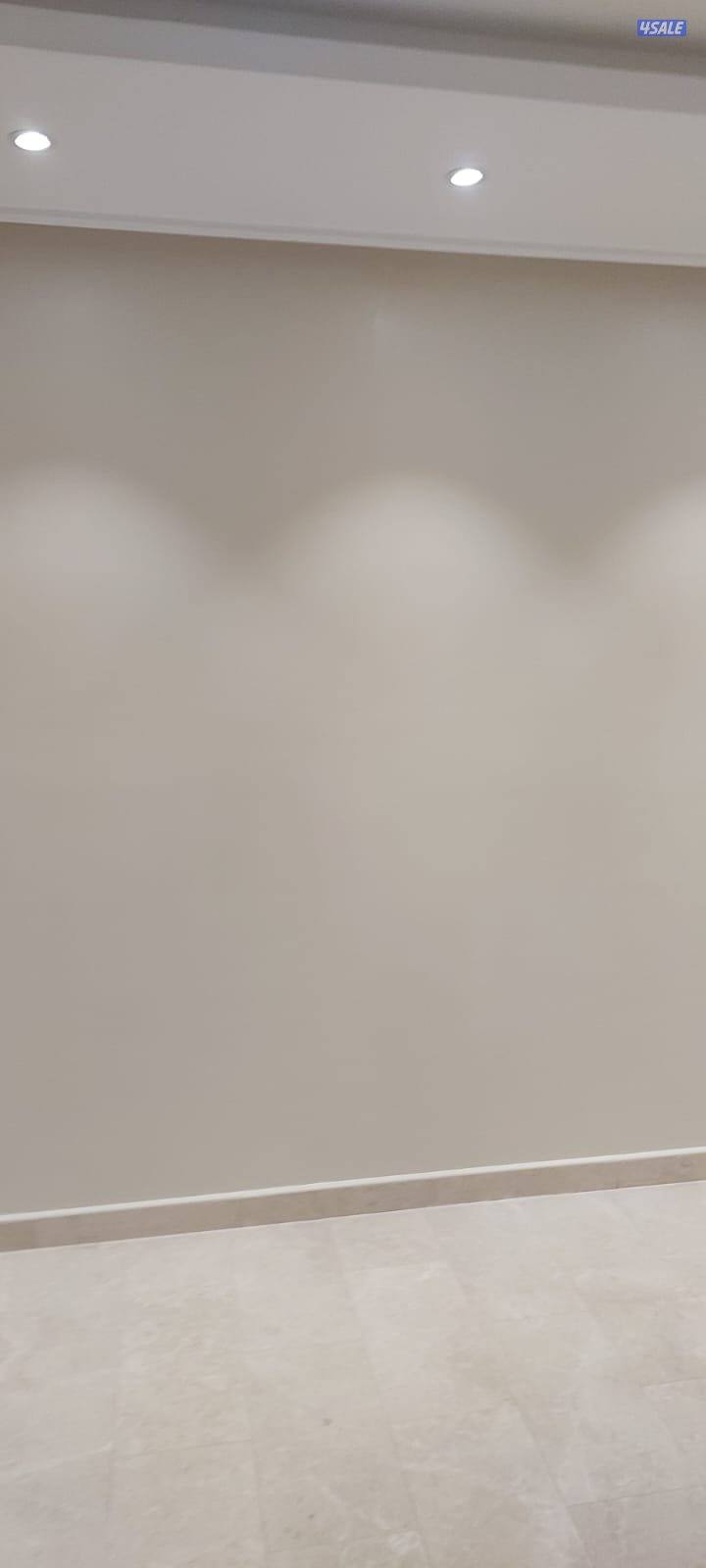 اصباغ ابو حسين12