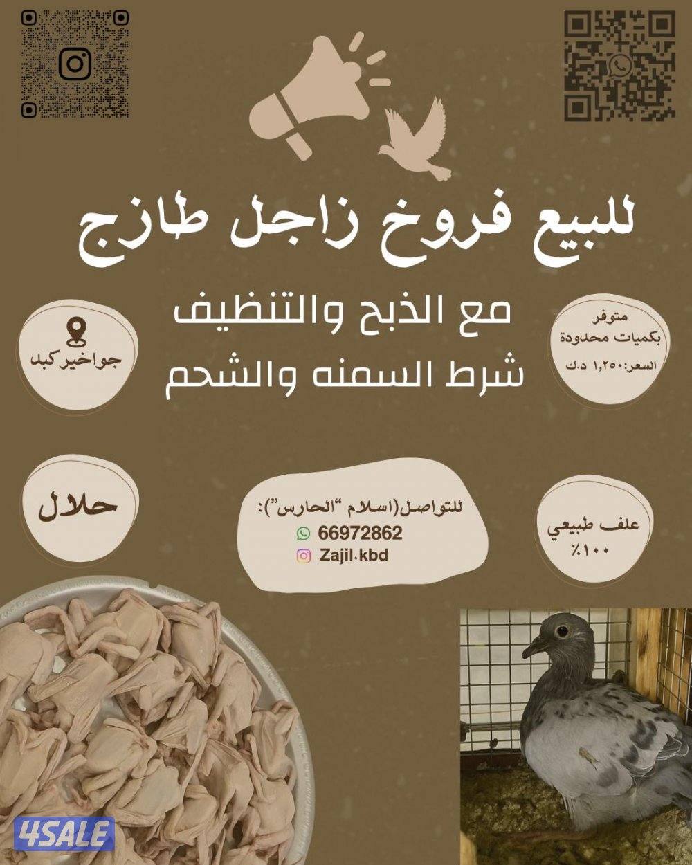 البيع فروخ زاجل مع الذبح والتنظيف السعر ١.٢٥٠6