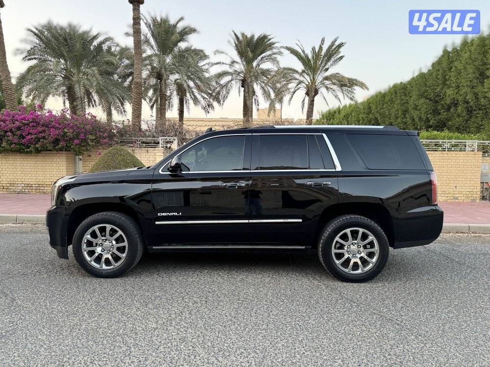 DENALI 20166