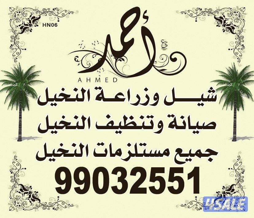 اهوازي للنخيل0