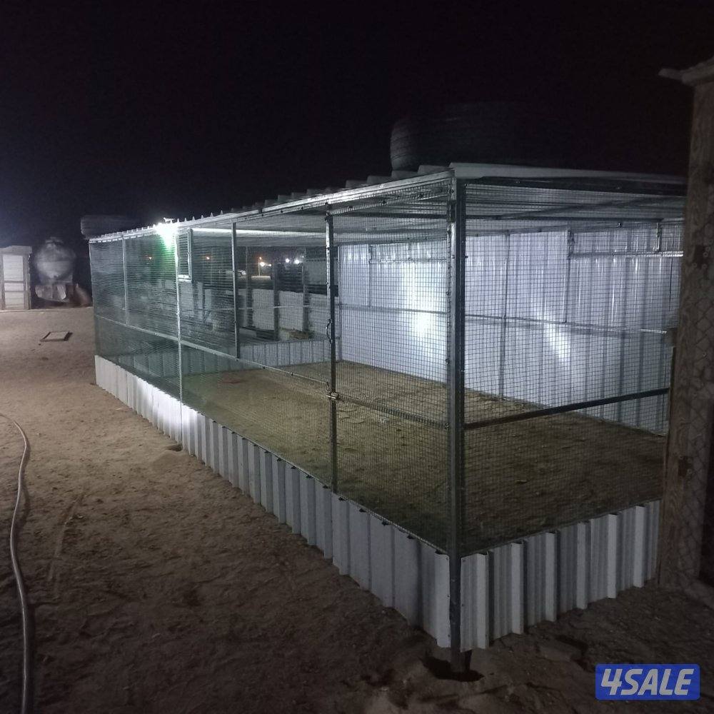 للبيع محاكر وأقفاص كيربي جميع الأحجام .. كما يوجد كبرات تفريخ معزوله3