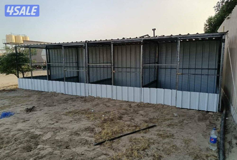 للبيع محاكر وأقفاص كيربي جميع الأحجام .. كما يوجد كبرات تفريخ معزوله5