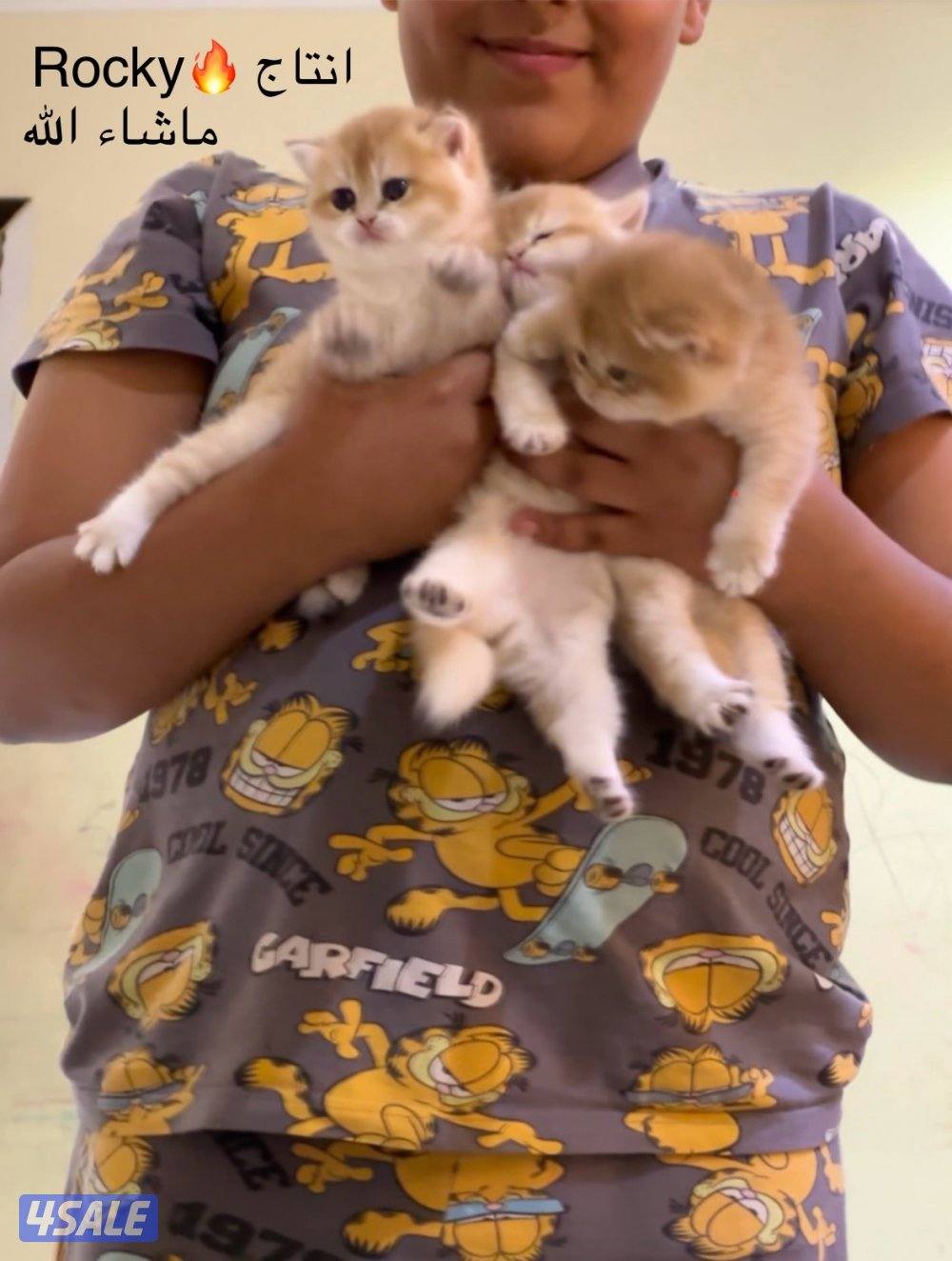 من فضلك/ج قَلِّبْ/ي بين الصور - لمن يرغب في التَمَيُّز!!!8