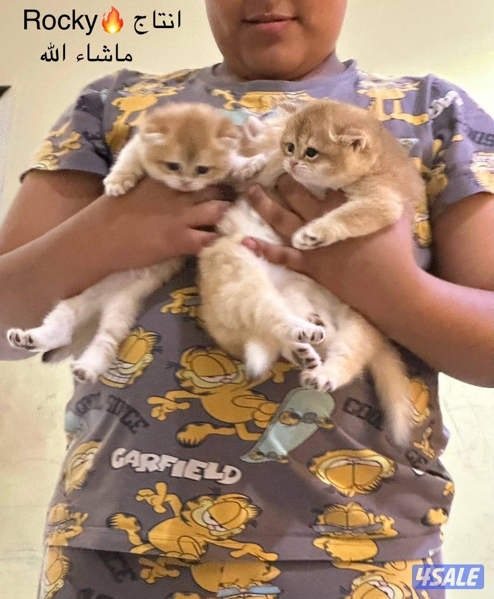 من فضلك/ج قَلِّبْ/ي بين الصور - لمن يرغب في التَمَيُّز!!!10