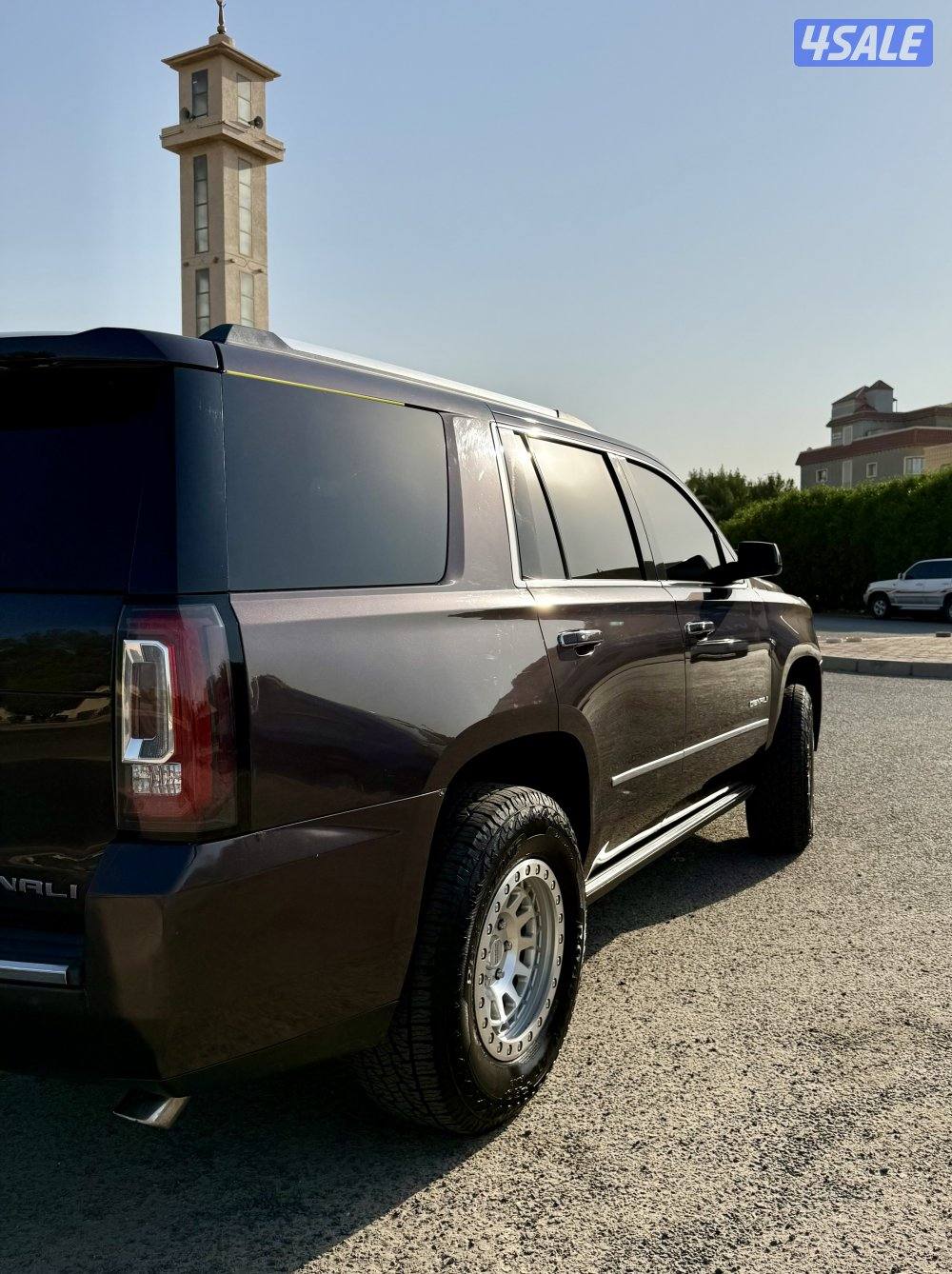 يوكن دينالي وارد امريكا 20161