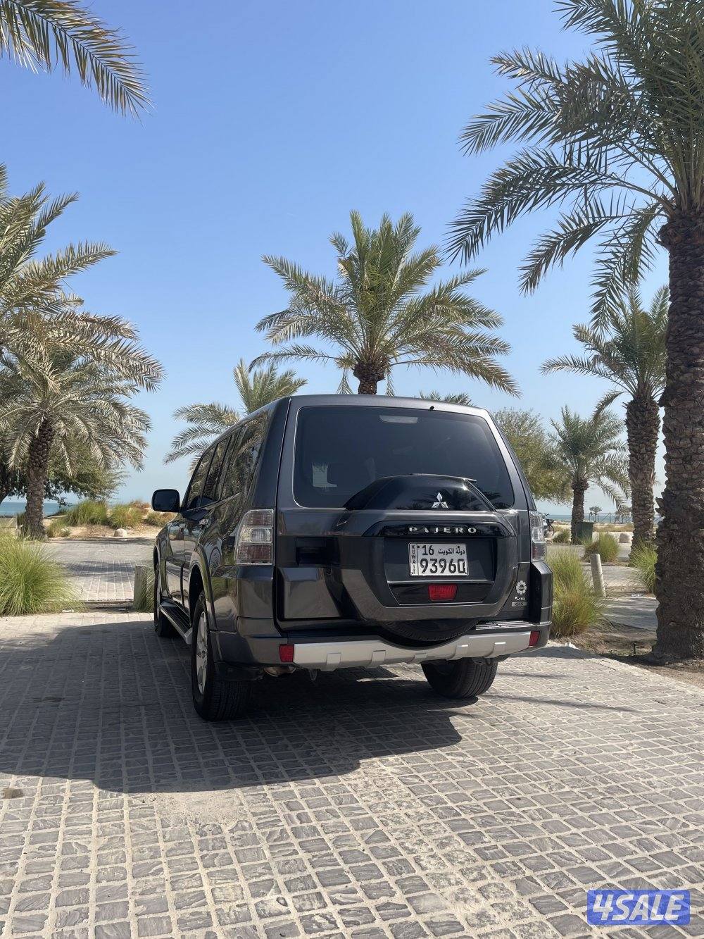 باجيرو (2019) ماشي 131الف2