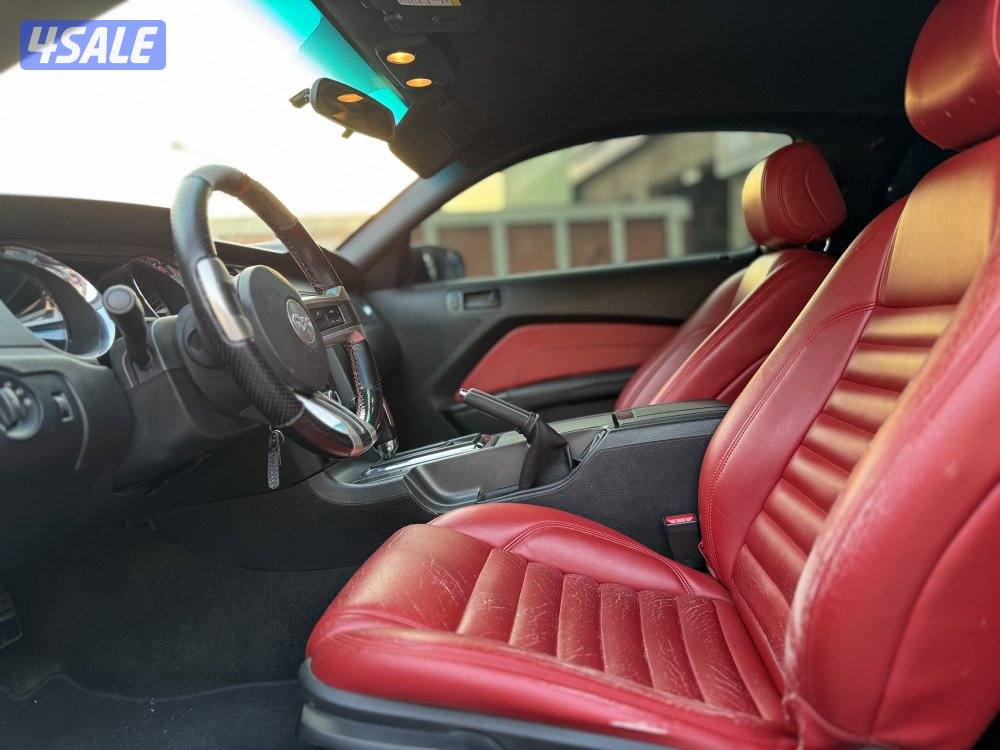 موستنج  2013 V66