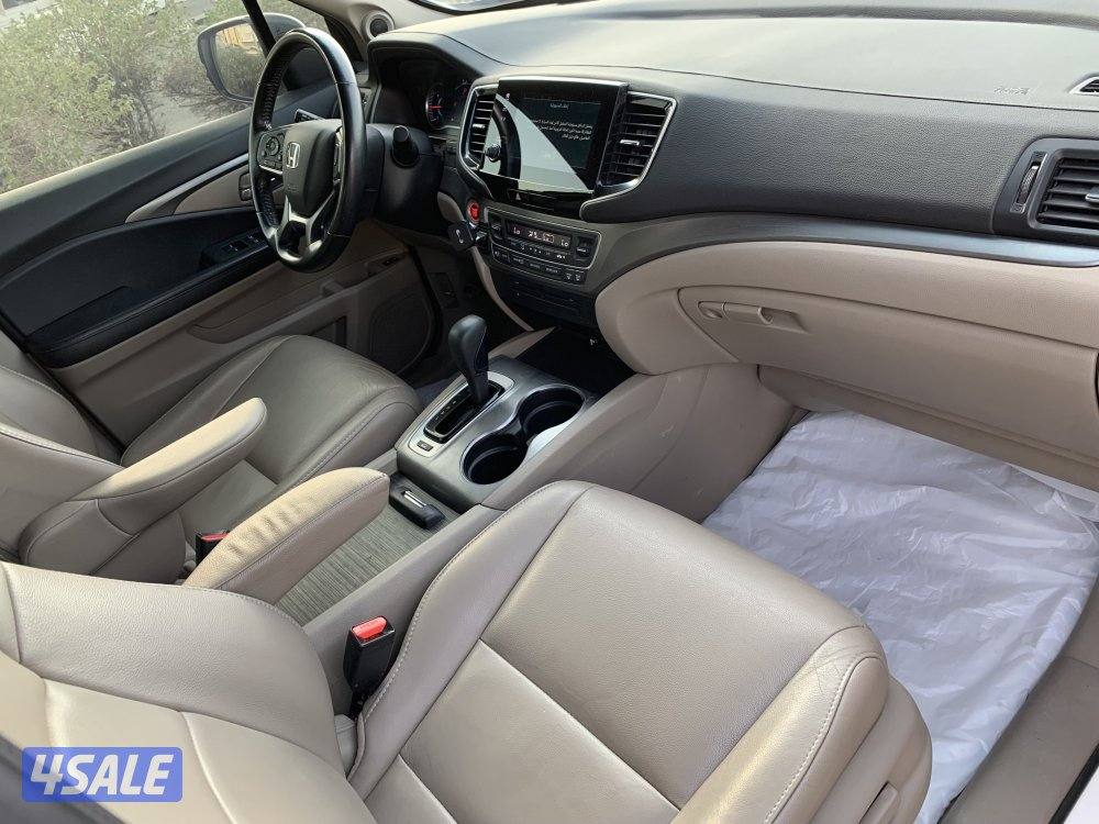 جيب بايلوت 20194