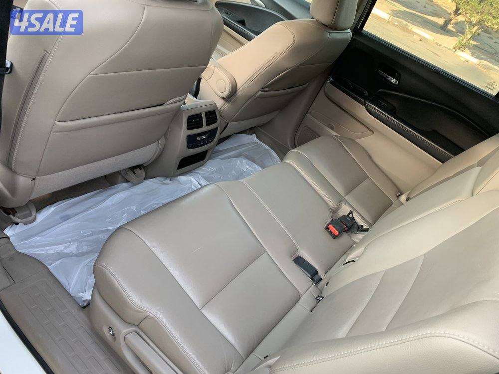 جيب بايلوت 20195