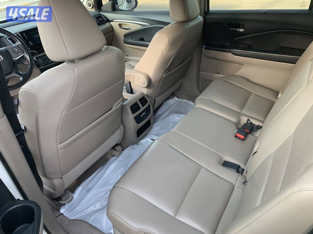 جيب بايلوت 20196