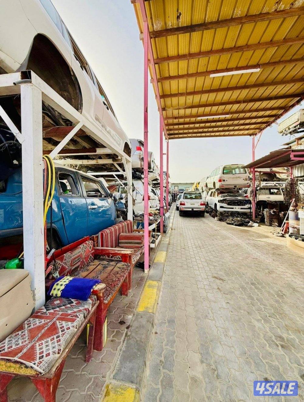 سكراب سالمي1