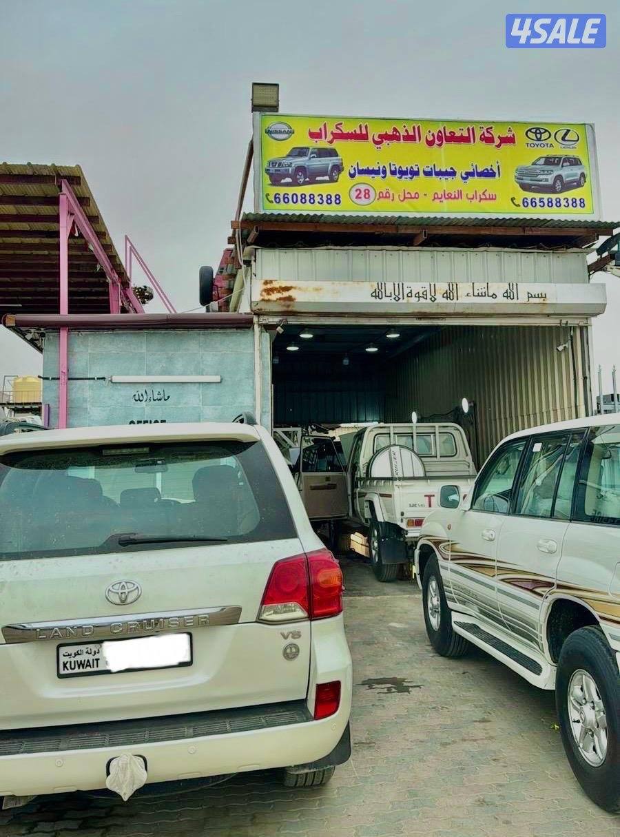 سكراب سالمي2