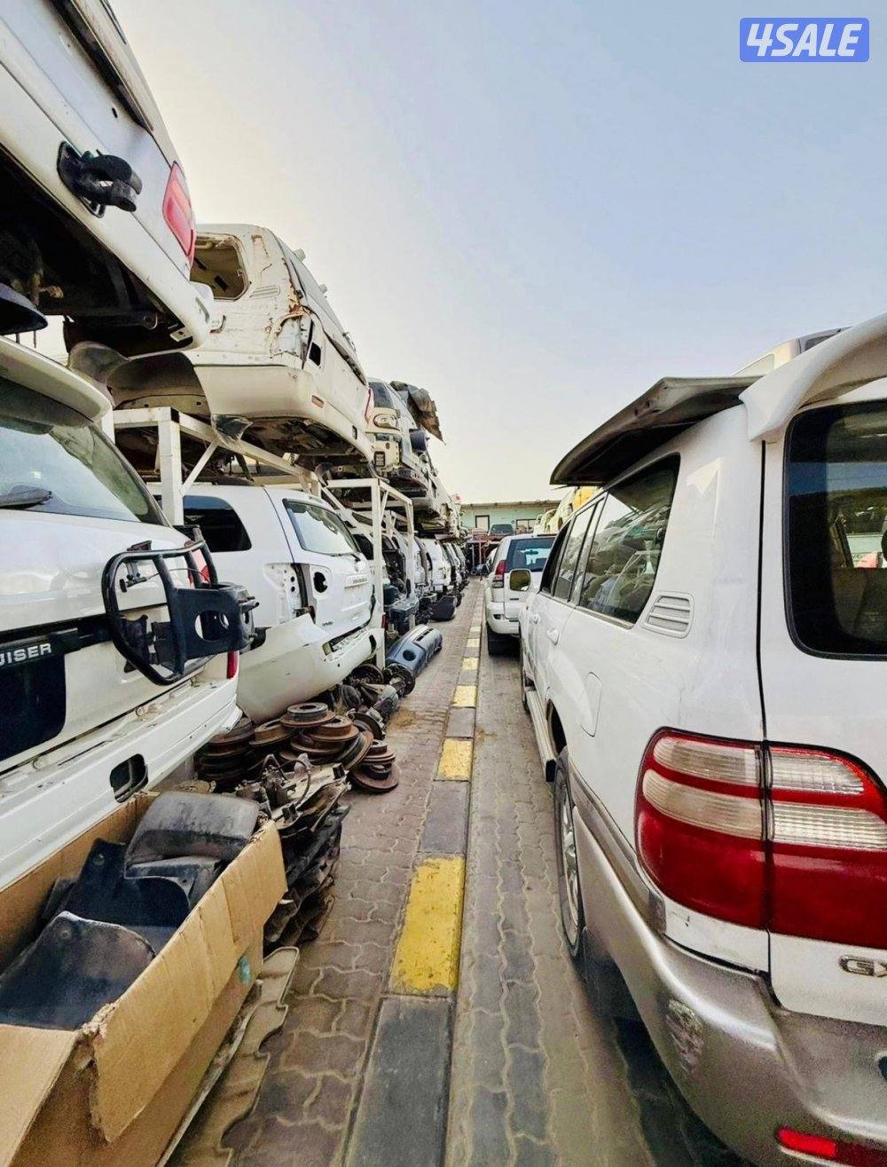 سكراب سالمي4