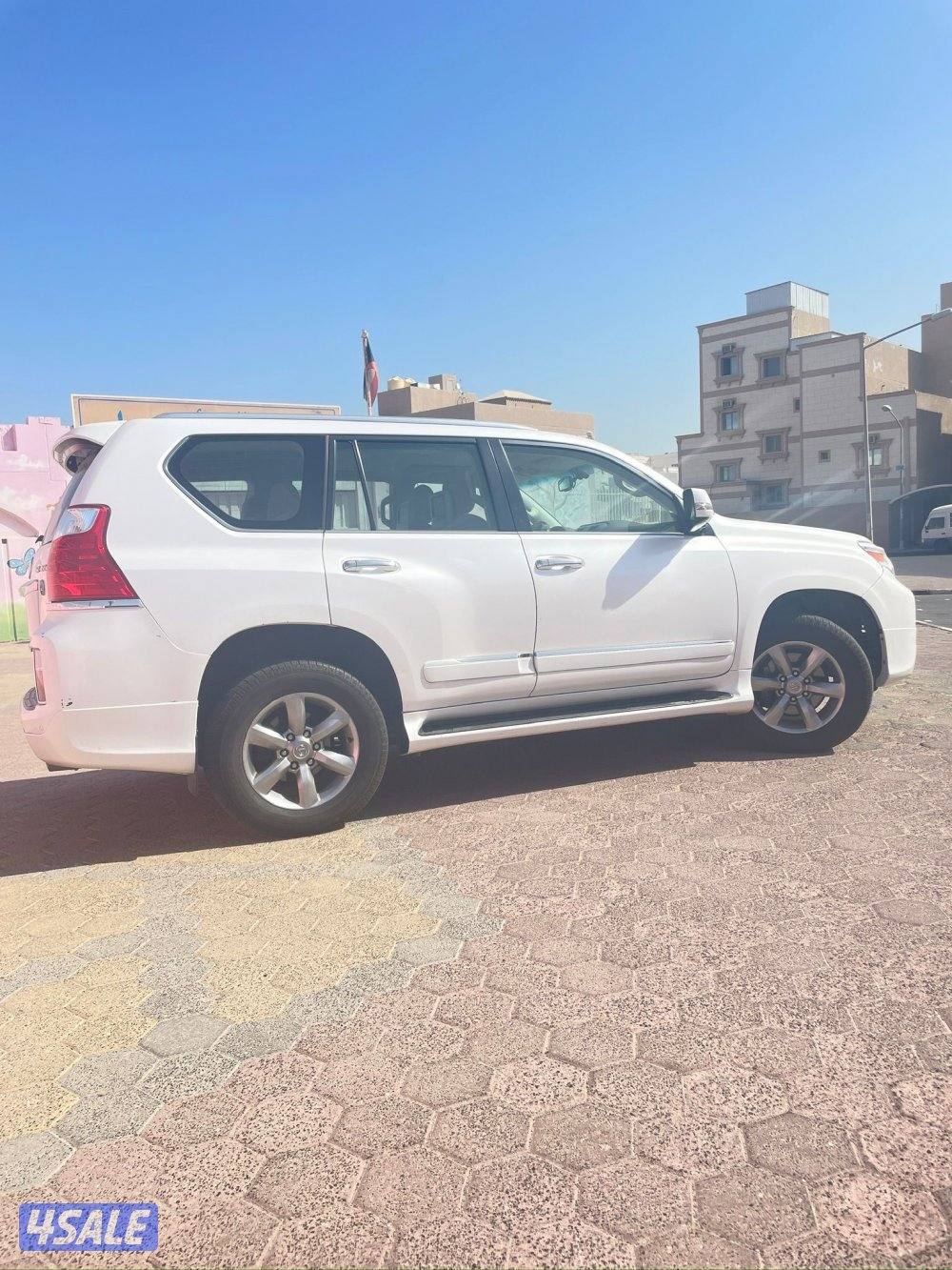 المالك الاول - الفحص موجود3