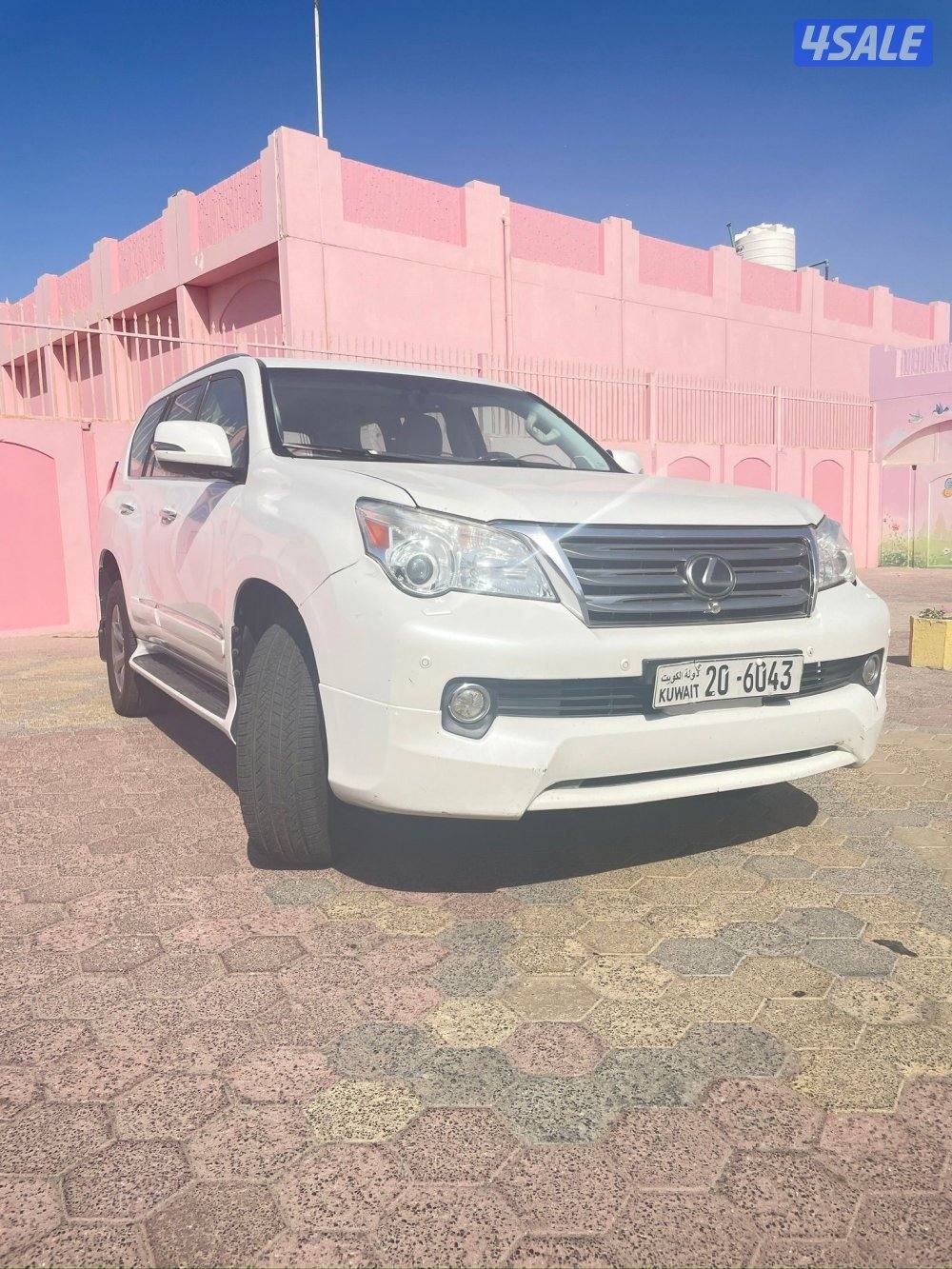 المالك الاول - الفحص موجود7