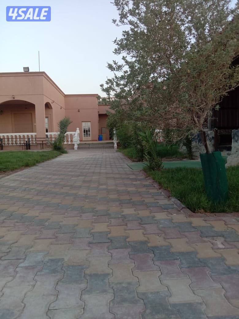 للبيع استراحه جاخور كبد ١٢٥٠م2