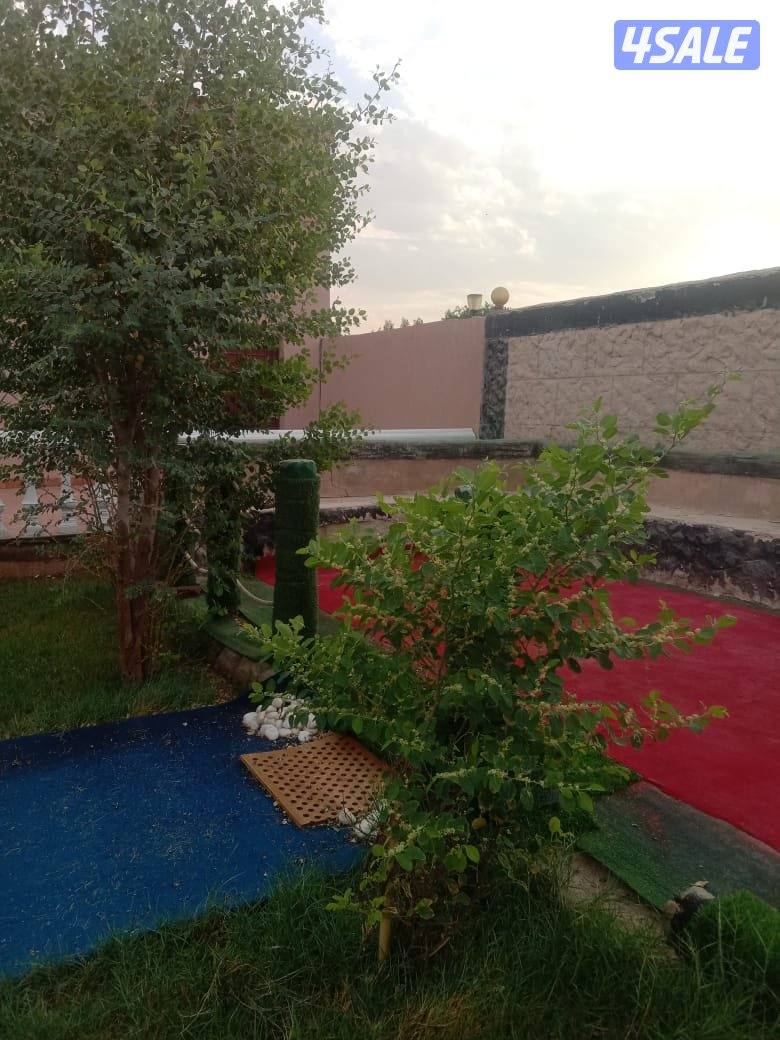 للبيع استراحه جاخور كبد ١٢٥٠م3