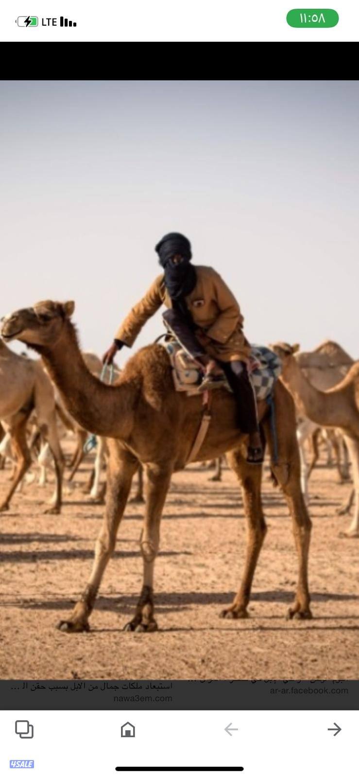 طلب ر غنم دوله 🇲🇱0