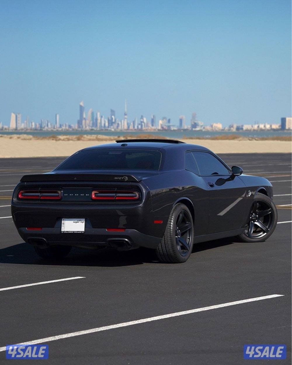 hellcat 20194