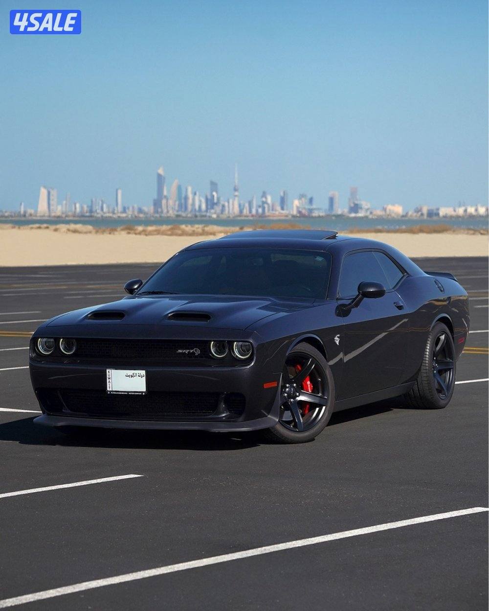 hellcat 20195