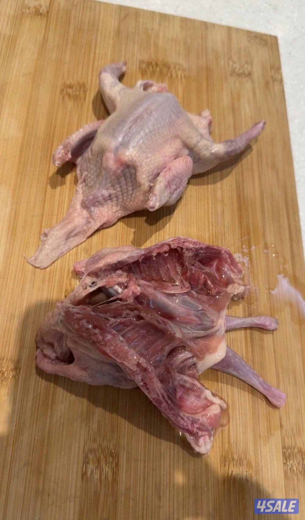 فروخ حمام خصوصي جاهز للاكل +بط شرط السمنه والحجم + طبخ + توصيل سريع2