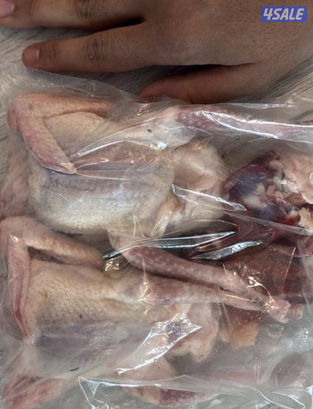 فروخ حمام خصوصي جاهز للاكل +بط شرط السمنه والحجم + طبخ + توصيل سريع3