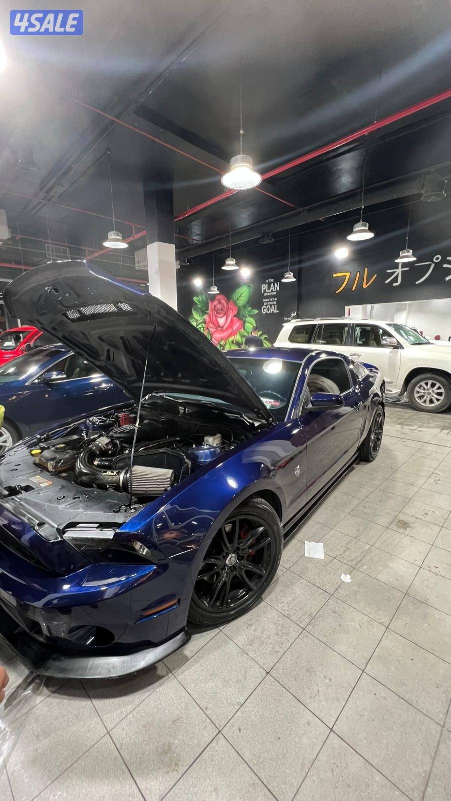 للبيع او للبدل موستنق قير عادي جاهز للموسم4